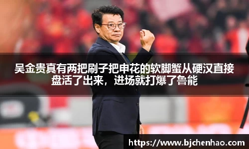 吴金贵真有两把刷子把申花的软脚蟹从硬汉直接盘活了出来，进场就打爆了鲁能